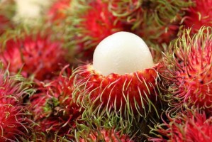 红毛丹成熟的季节（探秘红毛丹的收获时节及营养价值）