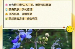 如何保存以蓝蝴蝶花为主题写的文章（保存以蓝蝴蝶花为主题写的文章的关键步骤）