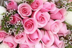 16朵玫瑰花语大全（寓意深刻的16朵玫瑰花语代表什么？赶紧了解一下！）