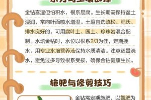 如何正确养护红金钻——打造完美光彩（红金钻保养全攻略，轻松延长饰品寿命）