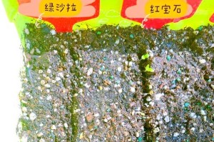 从种子到蔬菜（探索生菜的成长之旅，从萌芽到收获）