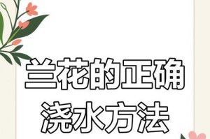 如何判断兰花是否需要浇水？（掌握关键指标，合理判断浇水时机）