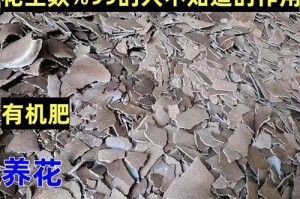 花生壳可以种花吗？（探究花生壳作为花盆的可行性）