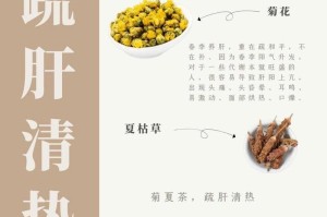 如何救活菊花枯萎的秘诀（发现菊花枯萎，别慌张，跟着这些步骤一起抢救吧！）