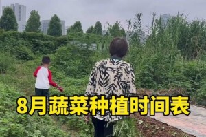 萝卜种植方法与时间（掌握这些技巧，让你的萝卜丰收颇丰！）