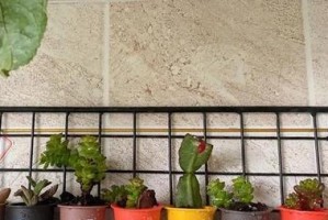 迷岩配土法——一种高效的种植土壤调配方法（探究迷岩配土法的原理及应用技巧，打造优质生态环境）