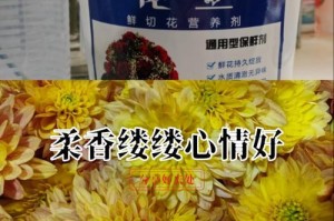 雏菊土养花（以雏菊土养花谢了怎么养？探索最佳养花技巧）