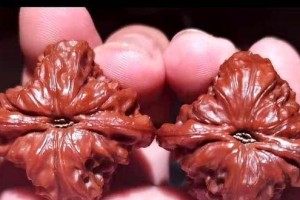 文玩核桃品种介绍（哪个品种最好，最贵的是哪个？）