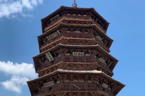 释迦树扦插繁殖技巧（掌握这些技巧，让您的释迦树更茂盛）