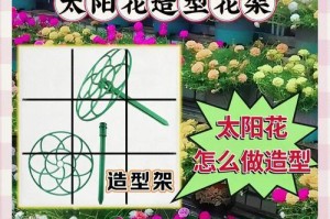 太阳花授粉的时间与方式方法（从花朵开放到花粉传递，了解太阳花的授粉过程）