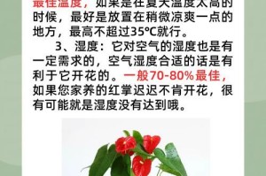 水培红掌怎么养才能开花？（从选苗到管理，全面了解水培红掌的养护技巧）