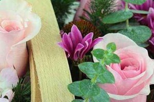 暗恋花语：用花语表达内心的情感