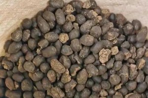 正确的鸡蛋水浇花方法（以鸡蛋兑水浇花，让花儿更茂盛）