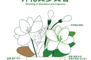 茉莉花换盆枯萎，如何正确养护（茉莉花养护技巧，让你轻松拯救枯萎的茉莉花）