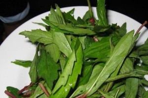 了解马兰头，一道营养丰富的蔬菜（探寻马兰头的历史、营养和烹饪方法）