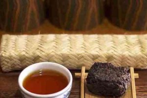 普洱茶的生长环境与特点（探寻普洱茶生长环境特点，品尝其独特风味）