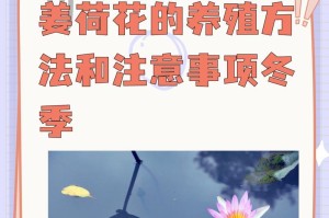 姜荷花开花时间及特点（揭秘姜荷花的开花周期和美丽之处）