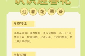 以盆栽迎春花怎么种（打造春天的小花园，盆栽迎春花种植攻略）