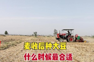 嘉花一号的最佳播种时间（嘉花一号的生长周期及影响播种时间的因素）