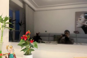 揭示红掌的历史渊源与文化内涵（揭示红掌的历史渊源与文化内涵）