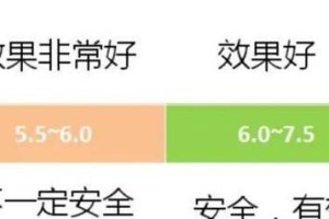 芒果病虫害防治技术与方法措施（科学防治，提高芒果产量）