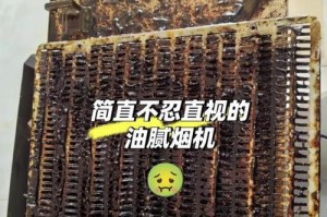 油烟机内脏油的腐熟过程及处理方法（探索脏油的腐熟过程，延长油烟机使用寿命）