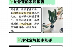 如何养长龙骨树？（让你的龙骨树高大挺拔）