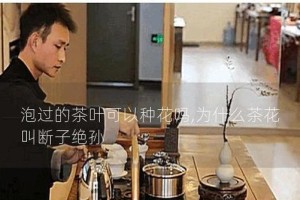 茶叶水的神奇效果——浇花树
