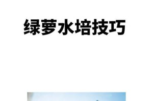 种绿萝的好处与养护技巧（打造舒适的家居绿植空间）