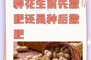 花生施肥全攻略（选择肥料种类，让花生高产丰收）
