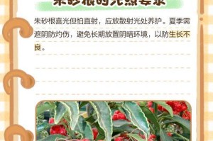朱砂根种植指南（如何种植朱砂根苗，快速打造美丽盆栽）