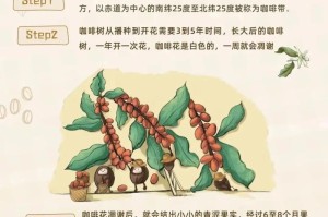 从种子到咖啡杯（以种子为始，以杯为终，教你如何把一粒咖啡种子变成美味的咖啡）
