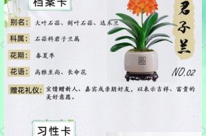 君子兰病了怎么办（快速有效治疗君子兰疾病的方法）