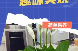 白掌老了了怎么办？（如何帮助白掌老人度过晚年？）