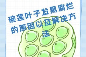 叶子发黑根部发黑怎么处理？（解决叶子长叶子根部发黑问题的有效方法）