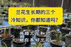 养兰花的正确施肥方法（掌握兰花施肥的关键，让你的兰花更加茂盛）