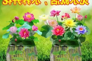 睡莲——室内环境净化神器（揭秘睡莲的吸甲醛能力）