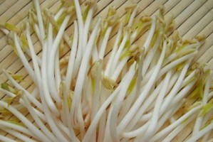 如何判断绿豆芽是否煮熟？（煮绿豆芽有哪些注意事项？）