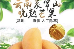 如何挑选最优质的芒果（从颜色、外形、口感到品种，全方位解读选择最优质芒果的方法）