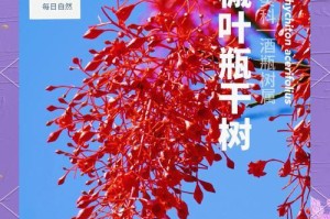 花叶子干了的原因及解决办法（了解花叶子干掉的问题，拯救你的新栽种花草）