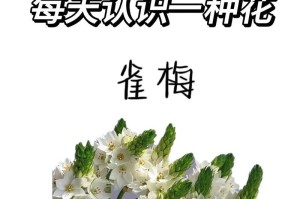 金雀梅开花次数研究（揭秘金雀梅一年开花次数的奥秘）