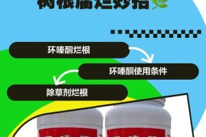 如何处理幸福树根部有虫子问题（让幸福树远离害虫的秘诀）