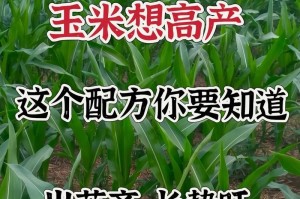 玉米种植全攻略（从最佳时间到最佳方式，让你轻松打造好收成）