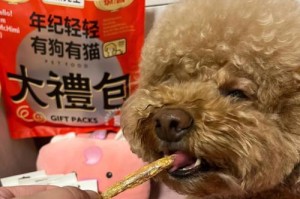 狗狗能吃山药吗？（营养丰富的山药，能否成为狗狗的健康食品？）