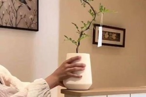 科学浇水，助力九里香茶叶生长（掌握浇水要领，打造茶树绿洲）