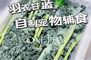 羽衣甘兰繁殖全攻略（了解羽衣甘兰繁殖技巧，让花园充满生机）