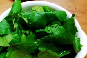 冬寒菜的营养与做法（品尝美味的冬季蔬菜，保障健康的饮食选择）