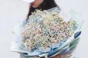 如何正确养护进口满天星鲜花（养护关键，让满天星盛放绽放）