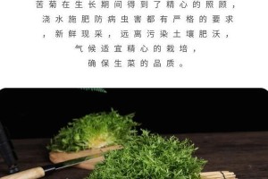 苦苣菜可以生吃吗？（生食苦苣菜的注意事项与好处）
