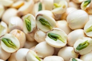 生莲子的功效与作用（营养价值、健康功效、食用方式）